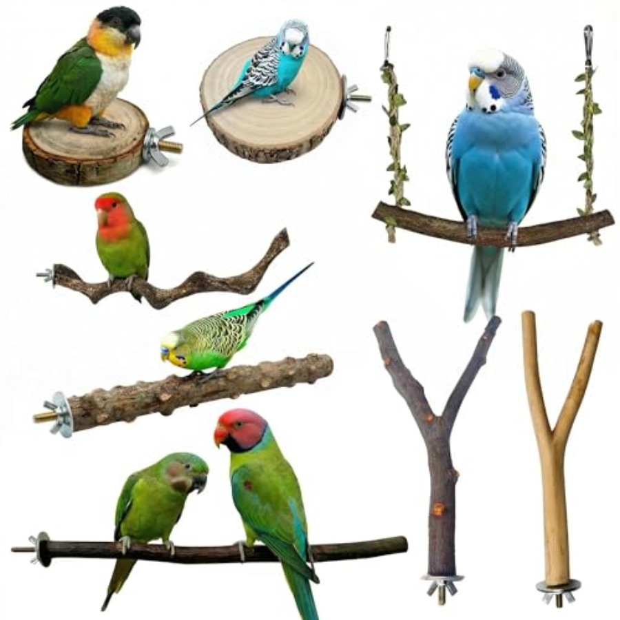 Health & Wellness Tourism - 8PCS natural wood bird perches for